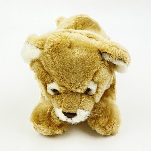 ぬいぐるみ ワイルドアニマルズ メスライオン Ｍ 人形 インテリア キッズ ギフト