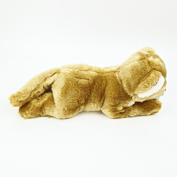 ぬいぐるみ ワイルドアニマルズ メスライオン Ｍ 人形 インテリア キッズ ギフト