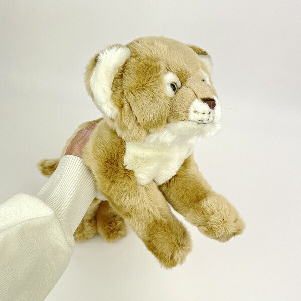 ぬいぐるみ ワイルドアニマルズ メスライオン Ｍ 人形 インテリア キッズ ギフト