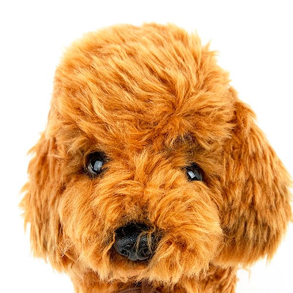   トイプードルS アプリコット立ち ぬいぐるみ グレイフル インテリア用品 4905330014627 　   日本製