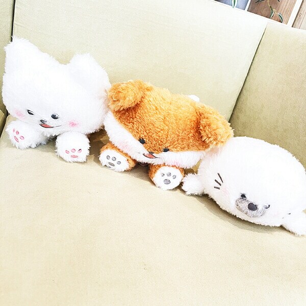 ほわころくらぶ ぬいぐるみ しばころちゃん マスコット