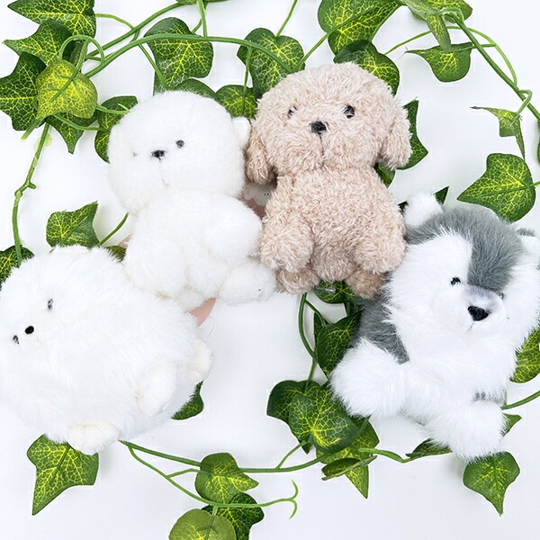 わたぽ ビションフリーゼ ぬいぐるみ