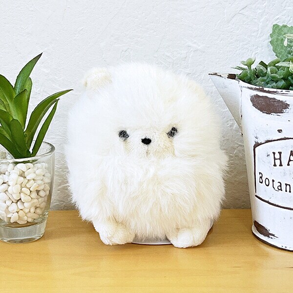 わたぽ ポメラニアン ぬいぐるみ