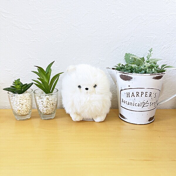 わたぽ ポメラニアン ぬいぐるみ