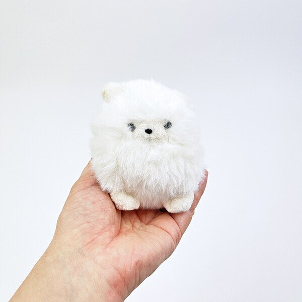 わたぽ ポメラニアン ぬいぐるみ