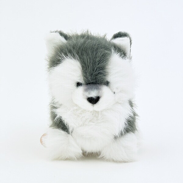 わたぽ ハスキー ぬいぐるみ