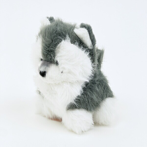 わたぽ ハスキー ぬいぐるみ