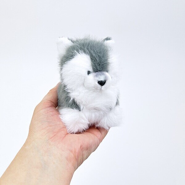 わたぽ ハスキー ぬいぐるみ