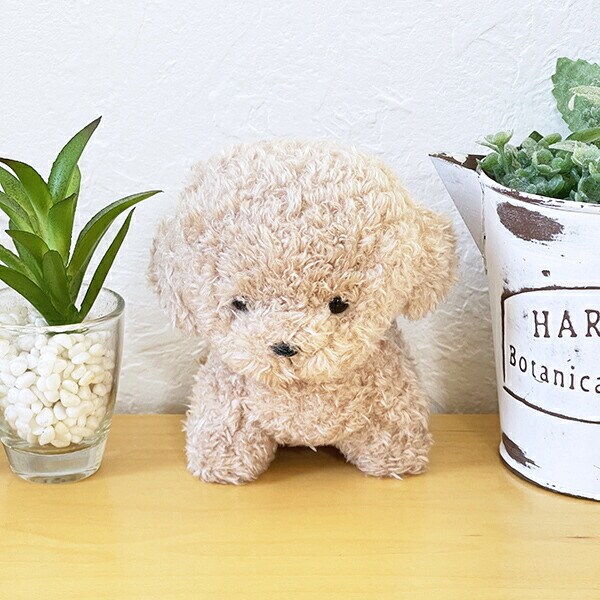わたぽ トイプードル ぬいぐるみ