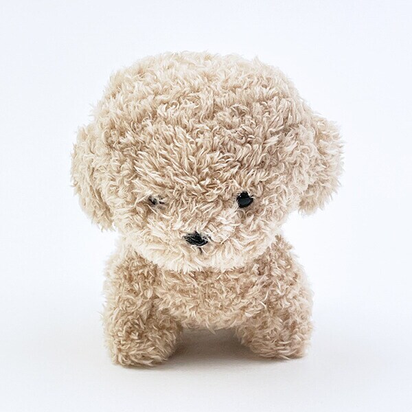 わたぽ トイプードル ぬいぐるみ