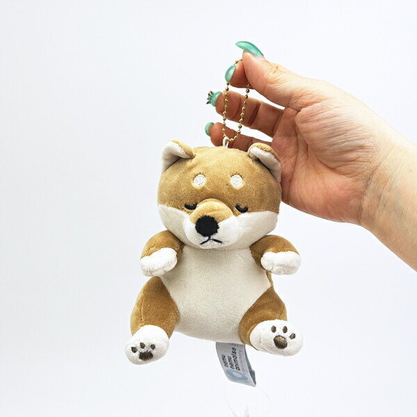 ねむねむアニマルズ コタロウ チェーンマスコット ねむねむ10thアニバーサリー