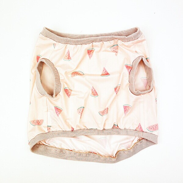 ねむねむアニマルズ スイカ クール 抱きまくらカバー(L) りぶはあと