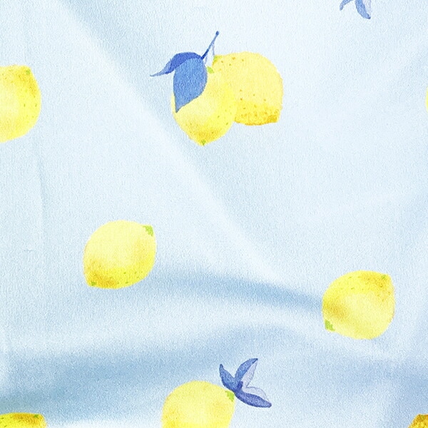 ねむねむアニマルズ レモン クール 抱きまくらカバー(L) りぶはあと