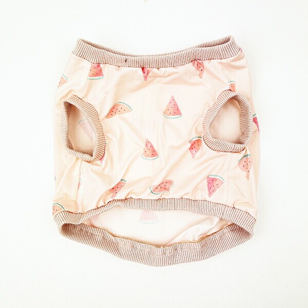 ねむねむアニマルズ スイカ クール 抱きまくらカバー(M) りぶはあと