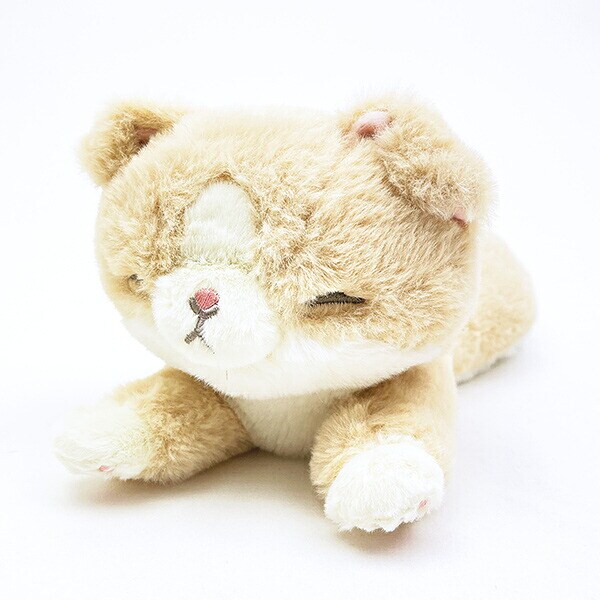 くたっとびより スコティッシュフォールド ミニクッション 猫 りぶはあと