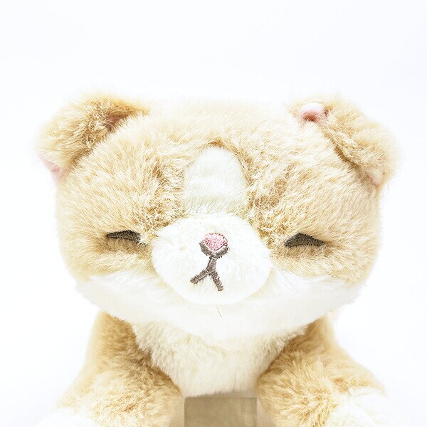 くたっとびより スコティッシュフォールド ミニクッション 猫 りぶはあと