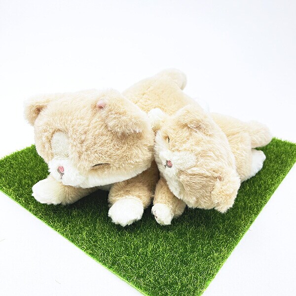 くたっとびより スコティッシュフォールド ミニクッション 猫 りぶはあと