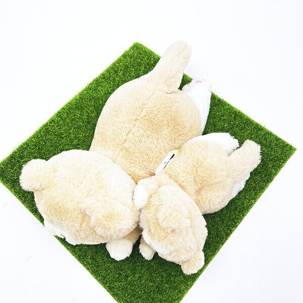 くたっとびより スコティッシュフォールド ミニクッション 猫 りぶはあと