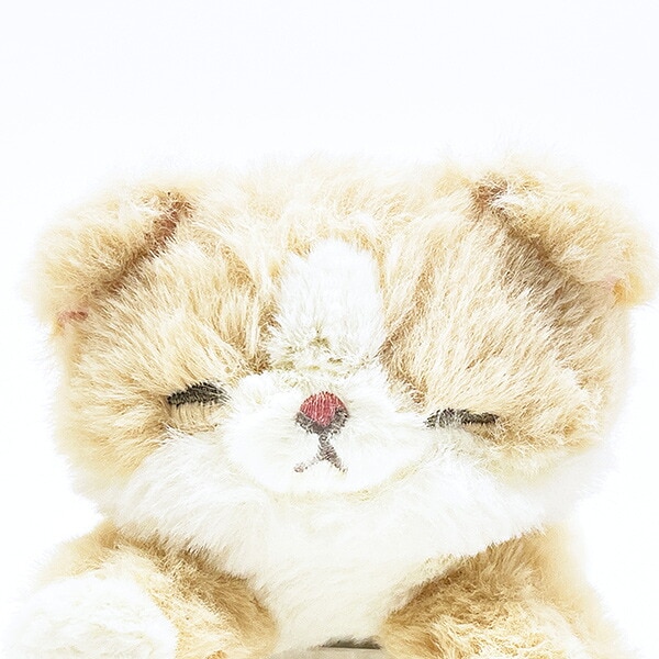 くたっとびより スコティッシュフォールド マスコット 猫 りぶはあと