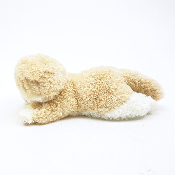 くたっとびより スコティッシュフォールド マスコット 猫 りぶはあと