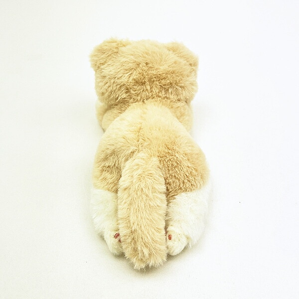 くたっとびより スコティッシュフォールド マスコット 猫 りぶはあと