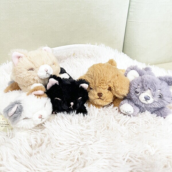 くたっとびより 茶ネコ マスコット ぬいぐるみ