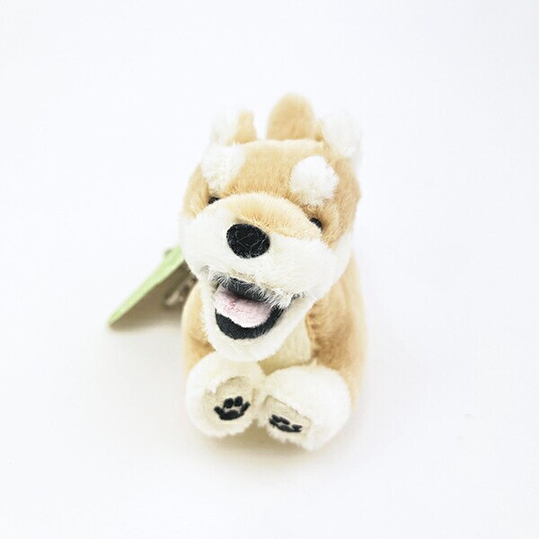 フラッピー シバイヌ バッグチャーム キーホルダー マスコット りぶはあと