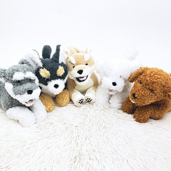 フラッピー シバイヌ ウエルカムクッション ぬいぐるみ りぶはあと