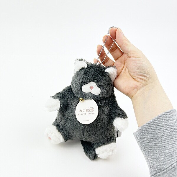 ねこ肯定感 くろねこのまぐろ  手のひらサイズ  ぬいぐるみ