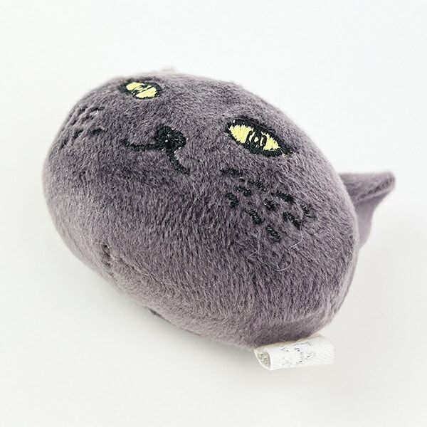 ピタリーヌ 黒猫キラ マグネット 文具