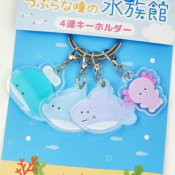 つぶらな瞳 つぶらな瞳の水族館 4連キーホルダー
