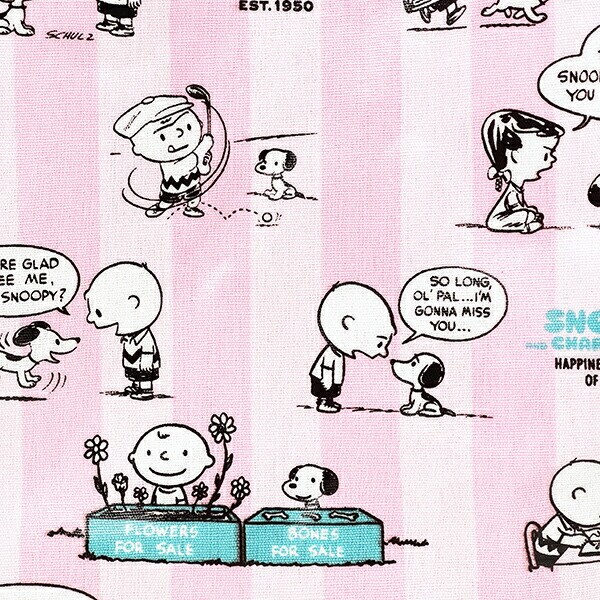 スヌーピー スクエアトートバッグ(小) 50ｓ SNOOPY ROOTOTE ルートート コラボ