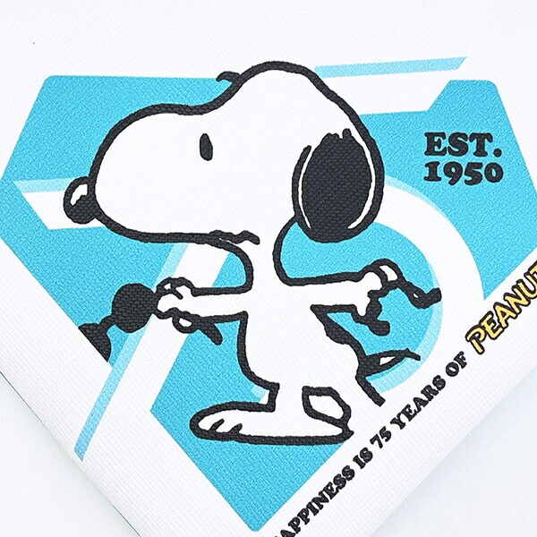 スヌーピー ダイヤモンドポーチ (グリーン) PEANUTS 75th SNOOPY