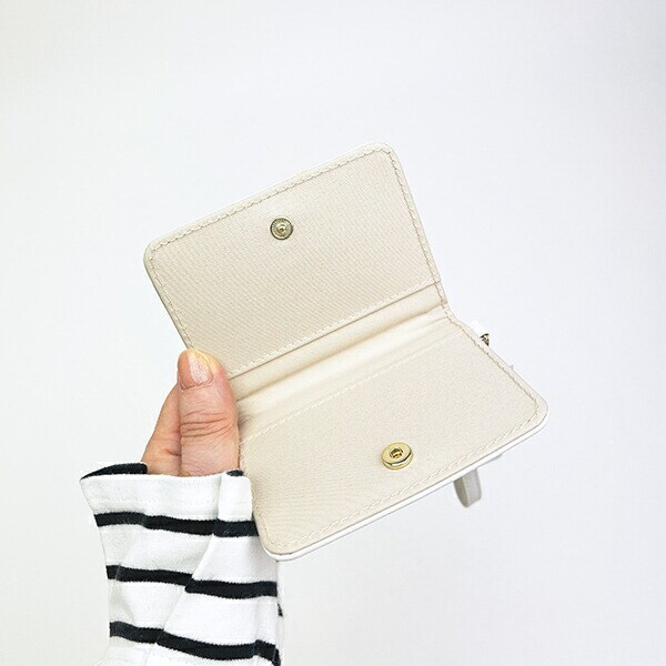 クレヨンしんちゃん オープンパスケース (アイボリー) 定期入れ