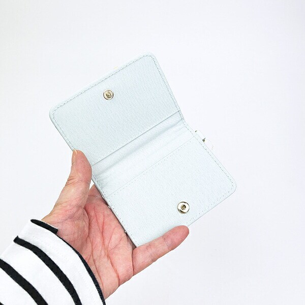 クレヨンしんちゃん オープンパスケース (グリーン) 定期入れ