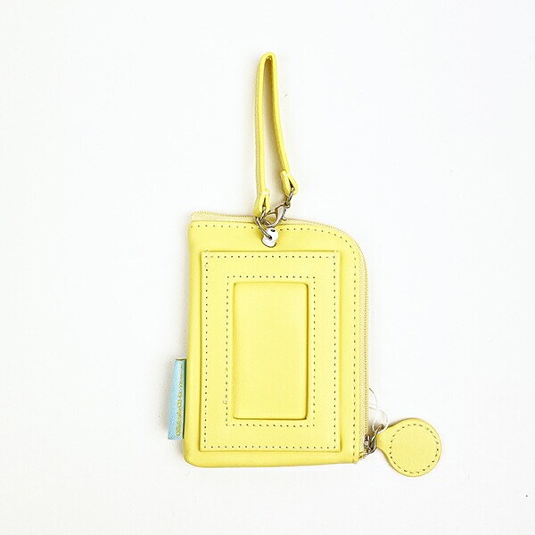 ポケットモンスター ポケモン ピカチュウ メッシュデイリーパスケース パステル 定期入れ ICカード キッズ