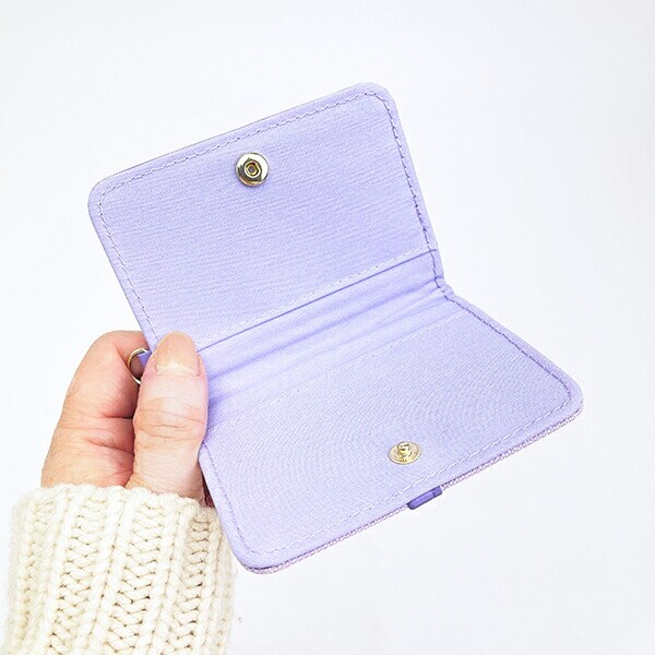 ポケットモンスター ヌメラ 2つ折りパスケース ひょっこりワッペン 定期入れ ポケモン