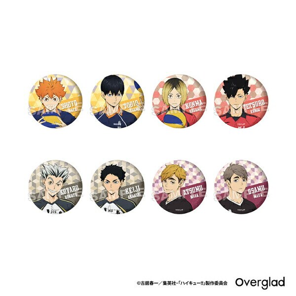 ハイキュー！！ トレーディンググリッター缶バッジ パターンアート 全8種 コンプリートBOX