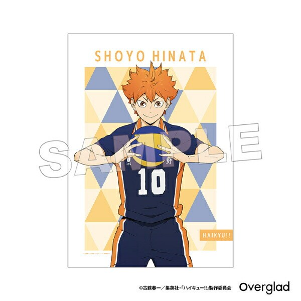 ハイキュー！！ 日向翔陽 布ポスターパターンアート