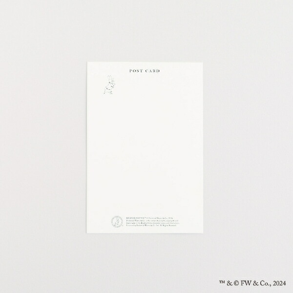 ピーターラビット ポストカード（かぞく） 文具 日本製