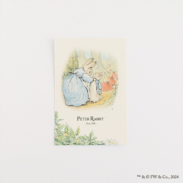 ピーターラビット ポストカード（みじたく） 文具 日本製