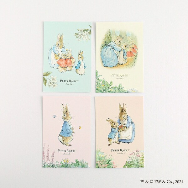 ピーターラビット ポストカード（みじたく） 文具 日本製