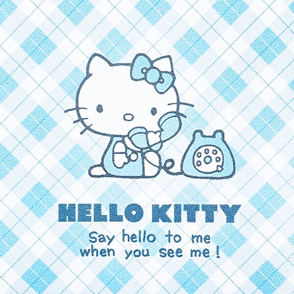 サンリオ ハローキティ 電話チェック キーパスポーチ パスケース Sanrio