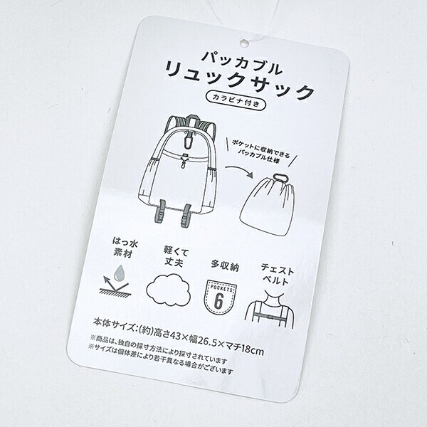 スヌーピー enjoyyourtrip パッカブル巾着ポケットリュック バッグ SNOOPY