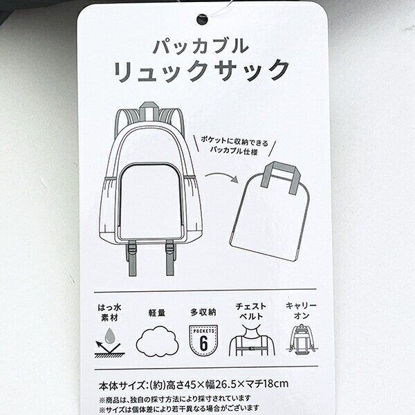 スヌーピー パッカブル リュックサック アップリケ刺繍 バッグ SNOOPY