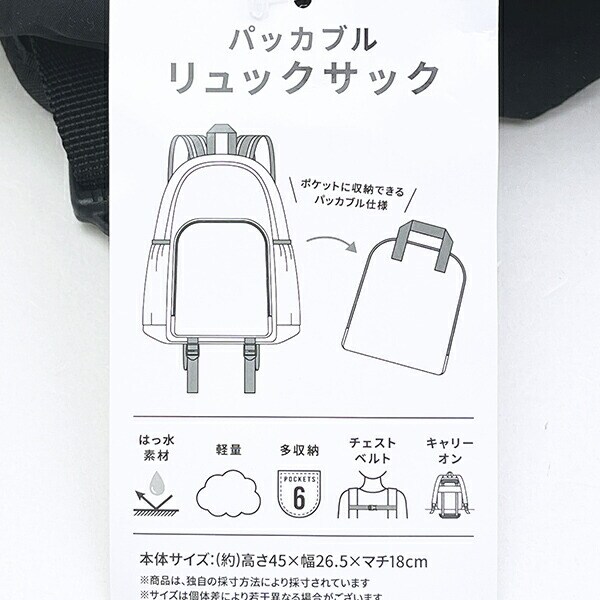 スヌーピー チャーリーブラウン パッカブルリュック アップリケ刺繍 SNOOPY