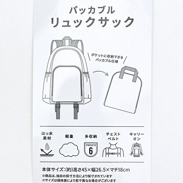 スヌーピー ルーシー パッカブルリュックサック アップリケ刺しゅう パープル バッグ SNOOPY