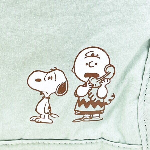 スヌーピー チャーリーブラウン 仕切りたくさんポーチ トラベル グリーン SNOOPY