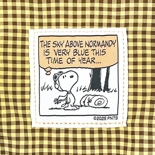 スヌーピー チェックリバーシブルポーチ グリーン SNOOPY