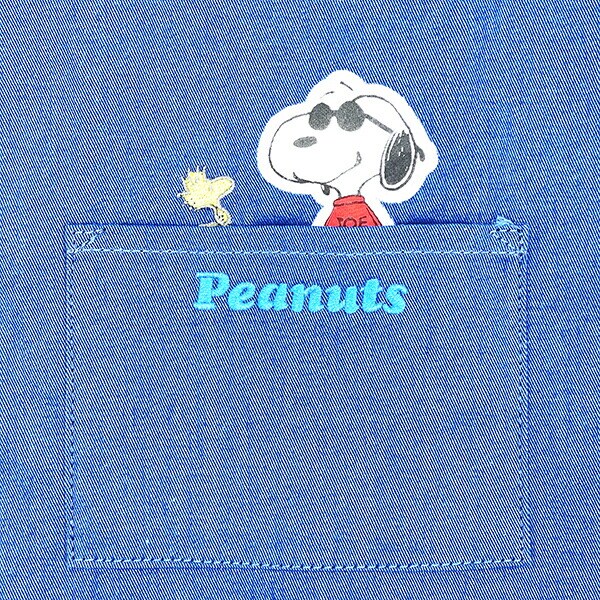 スヌーピー ジョークール＆ウッドストック ふっくらアップリケミニトートバッグ SNOOPY